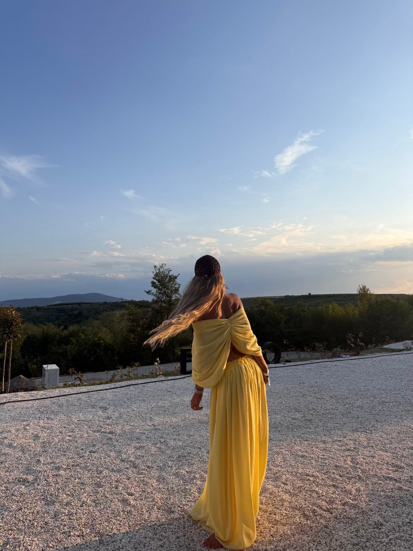 SUNFLOWER SET
