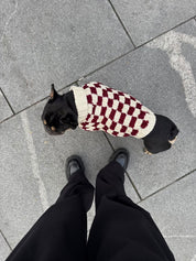DOG BURGUNDY SWEATER