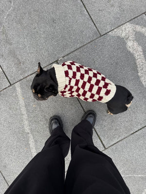 DOG BURGUNDY SWEATER