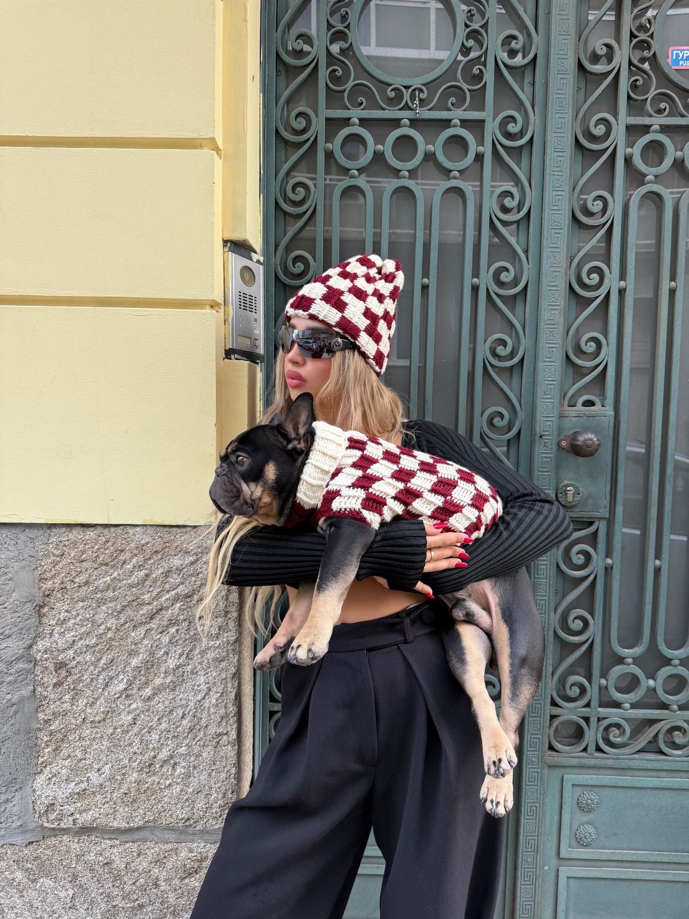 DOG BURGUNDY SWEATER