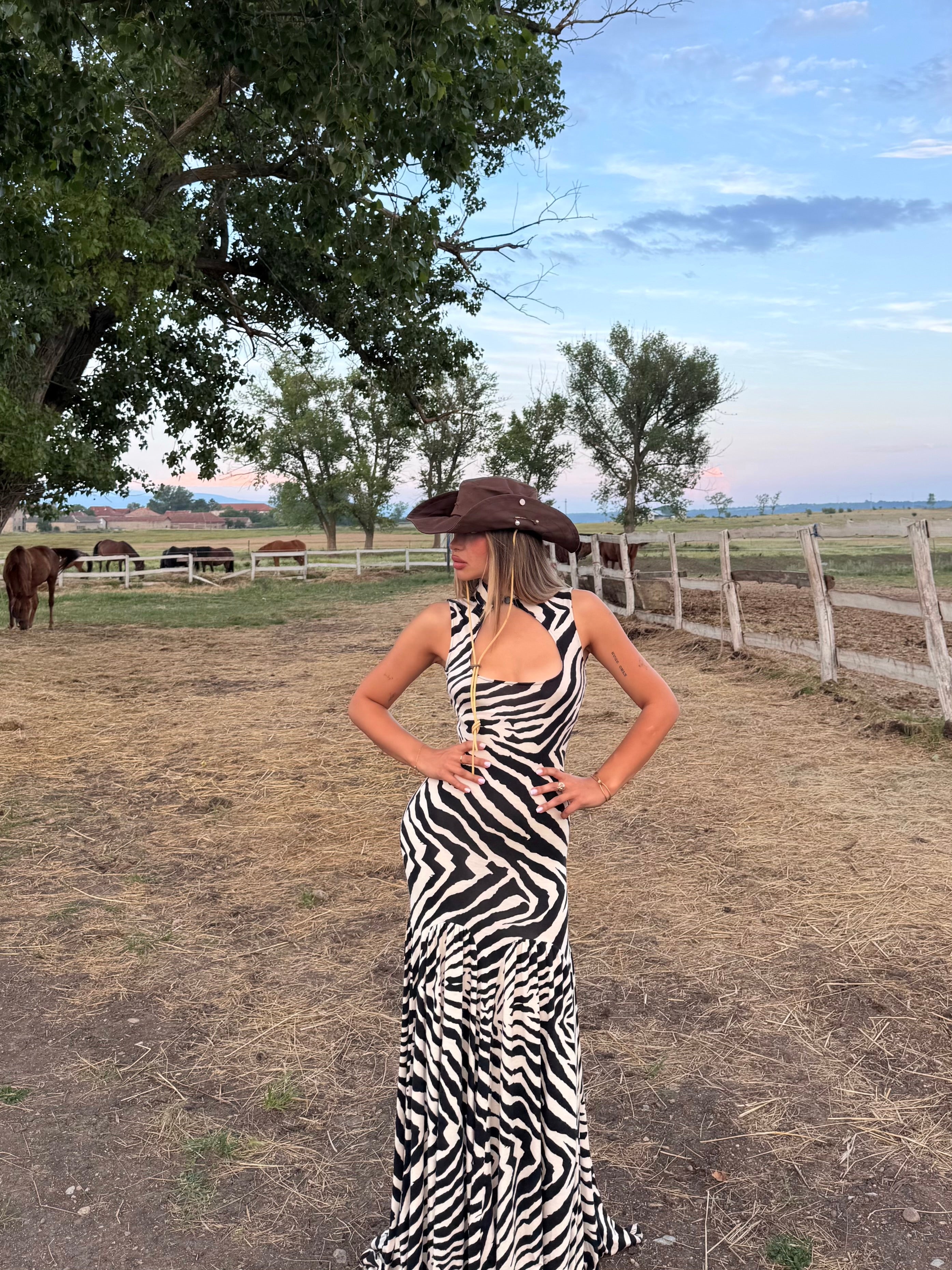 ZEBRA MAXI DRESS