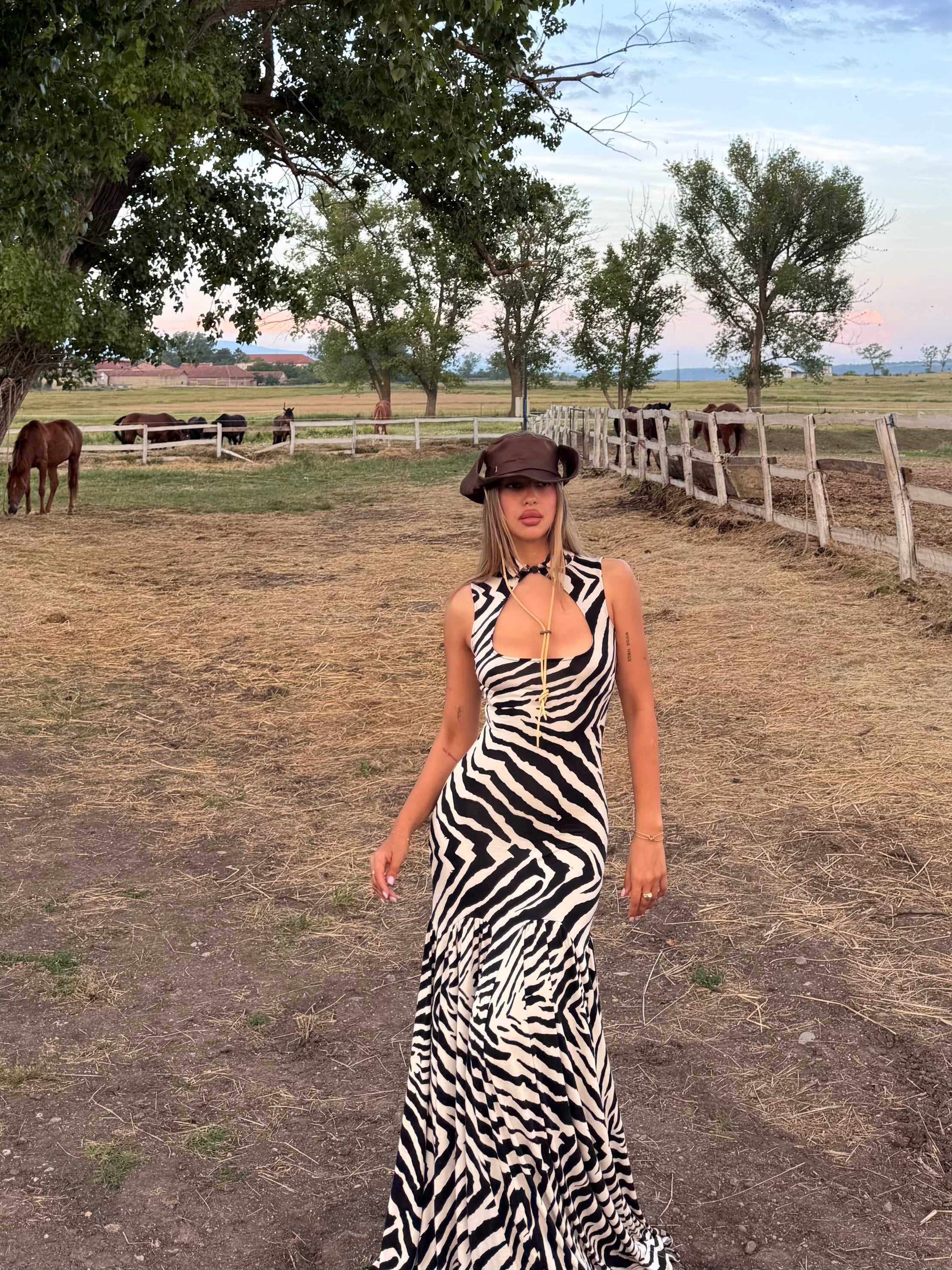 ZEBRA MAXI DRESS